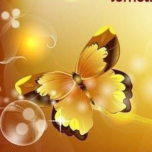 Meet your Posher, Angel